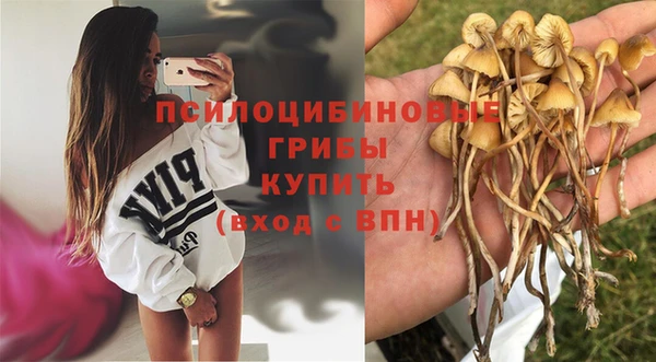 ALPHA PVP Алексеевка