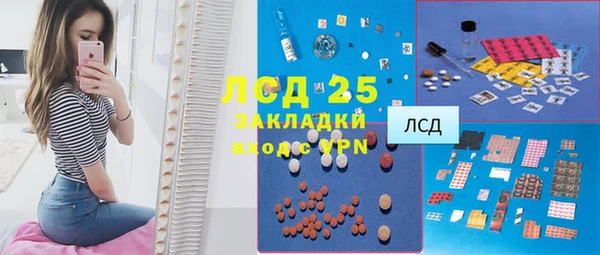 PSILOCYBIN Абаза