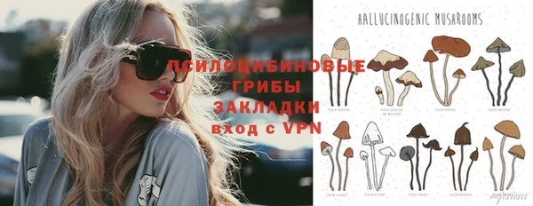 стафф Абинск