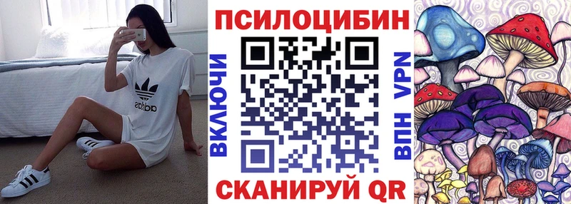 Галлюциногенные грибы Psilocybine cubensis Клинцы