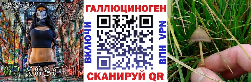 закладка  это клад  Псилоцибиновые грибы Magic Shrooms  Клинцы 
