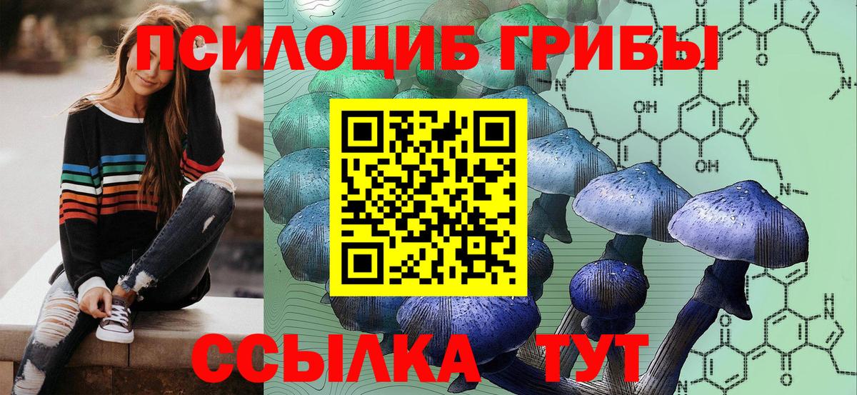 Псилоцибиновые грибы MAGIC MUSHROOMS Клинцы