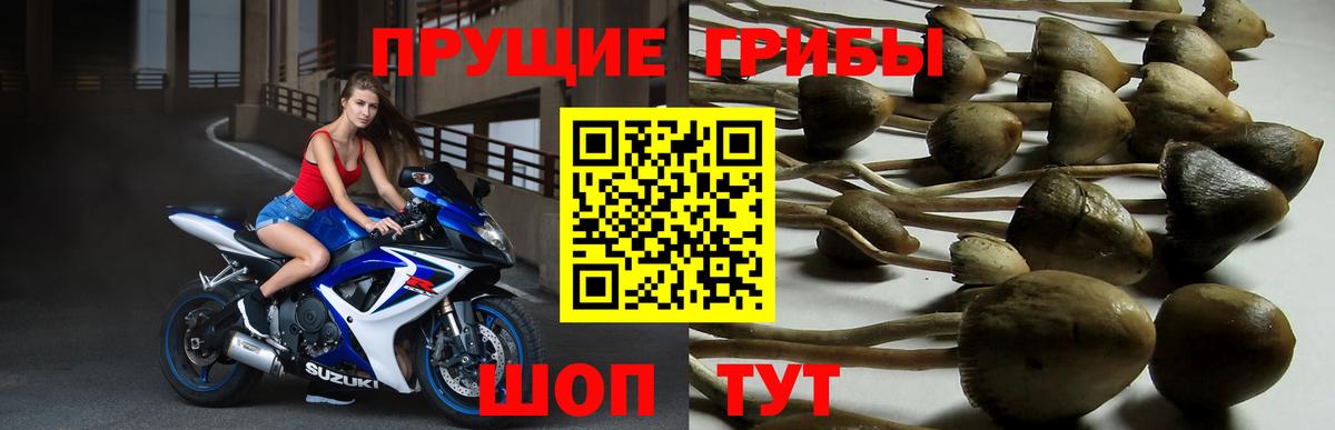 Клинцы  Псилоцибиновые грибы Magic Shrooms  Вход с VPN  Псилоцибиновые грибы MAGIC MUSHROOMS 