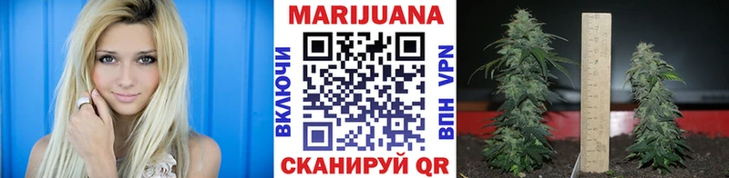 дарнет шоп  Клинцы  Шишки марихуана марихуана 